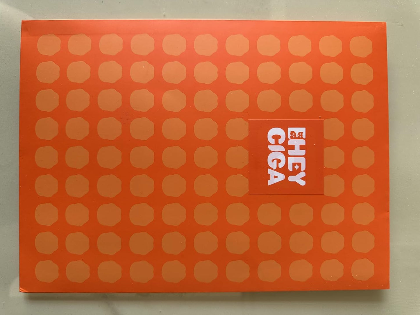 Satin Pillowcase Queen Set of 2, Soft Pillowcases for Hair and Skin Similar to Silk, Beige Pillow Cases 2 Pack with Envelope Closure, 20X30 Inches