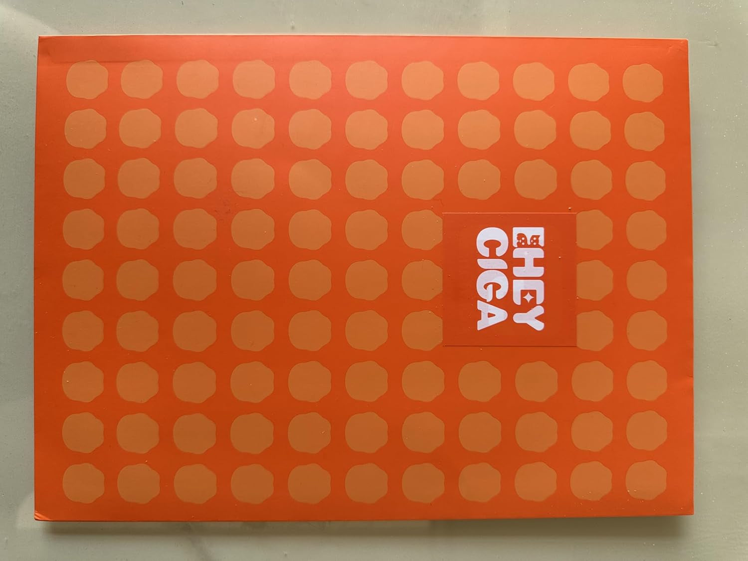 Satin Pillowcase Queen Set of 2, Soft Pillowcases for Hair and Skin Similar to Silk, Beige Pillow Cases 2 Pack with Envelope Closure, 20X30 Inches