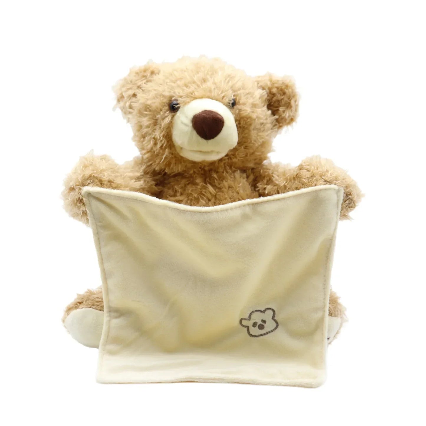 Peekaboo Playmate Talking Teddy