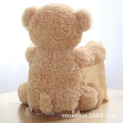 Peekaboo Playmate Talking Teddy